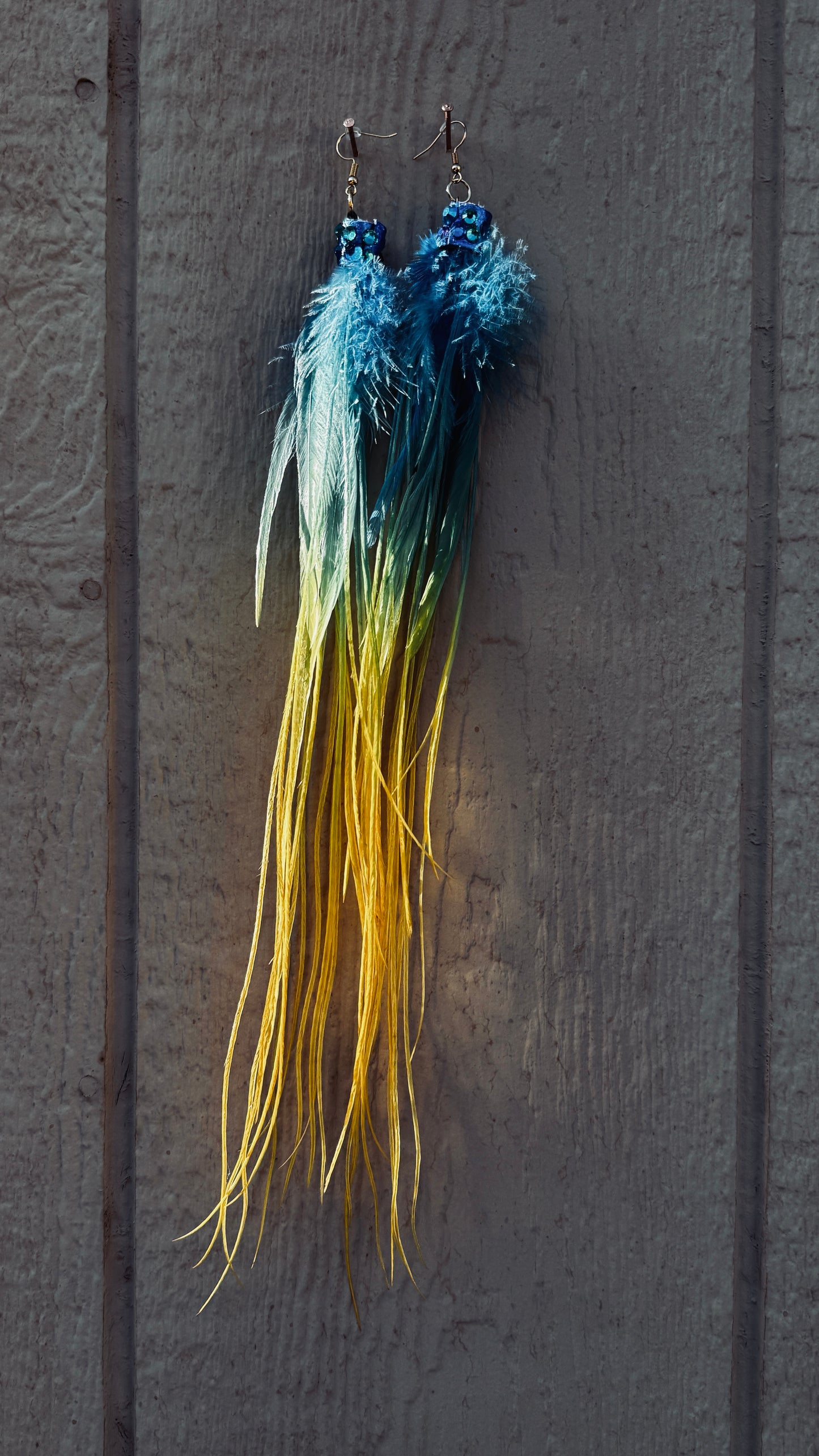 Feather Earrings - Angelfish
