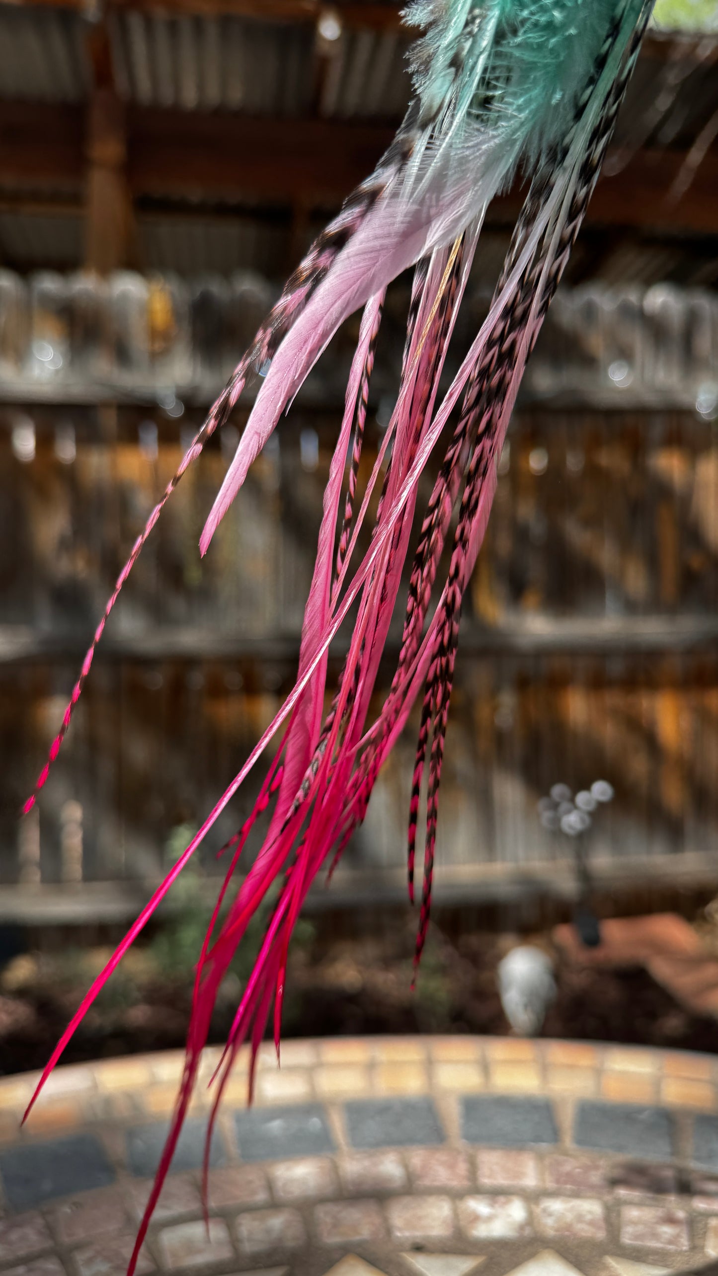Feather Earrings - Pastel Watermelon