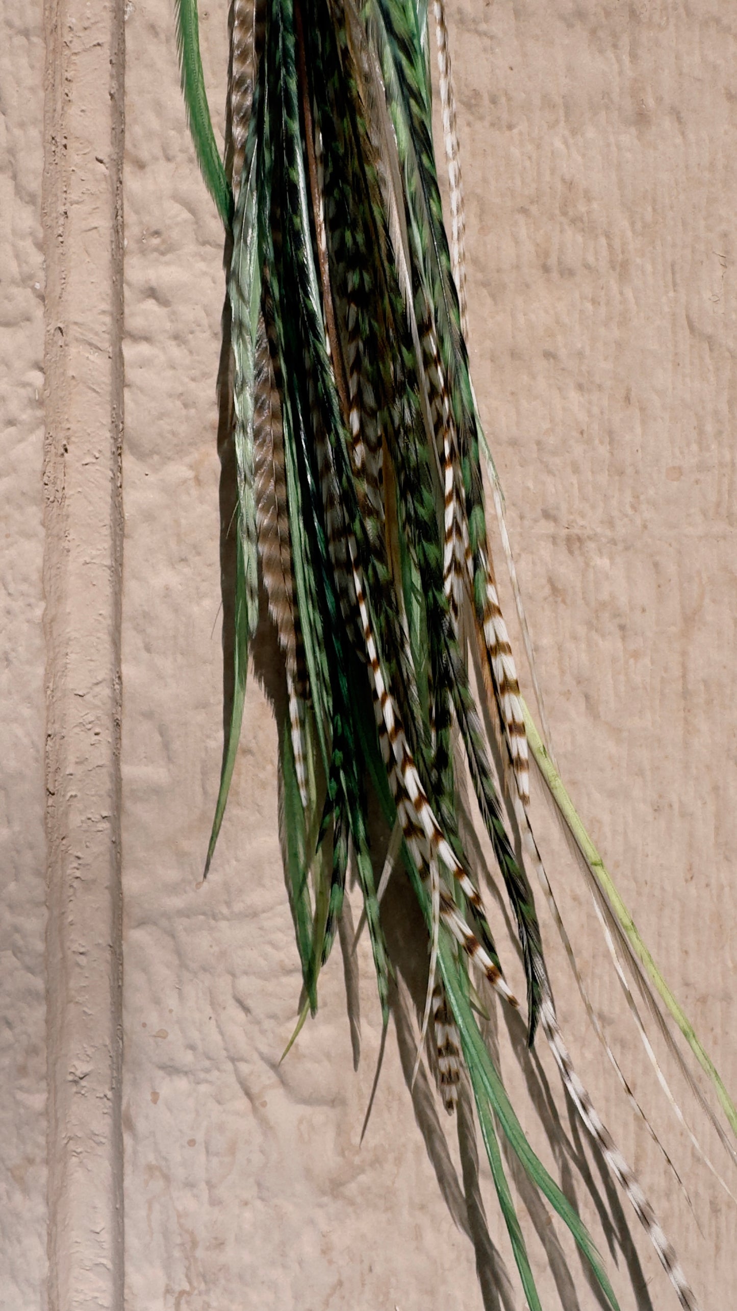 Feather Earrings - Earth Sign