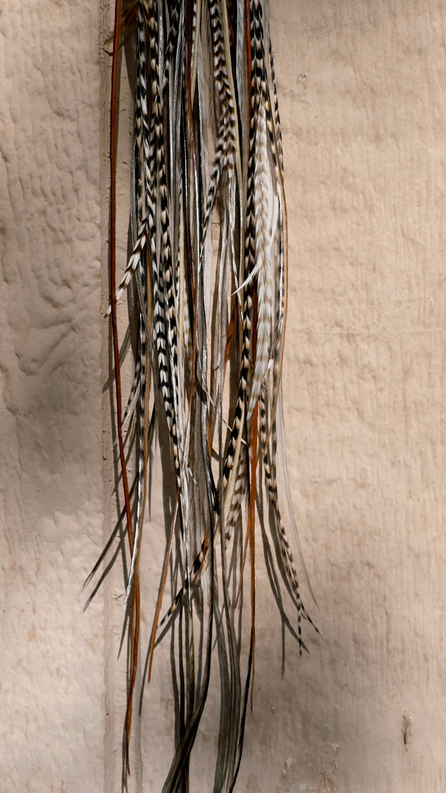 Feather Earrings - Send Nudes