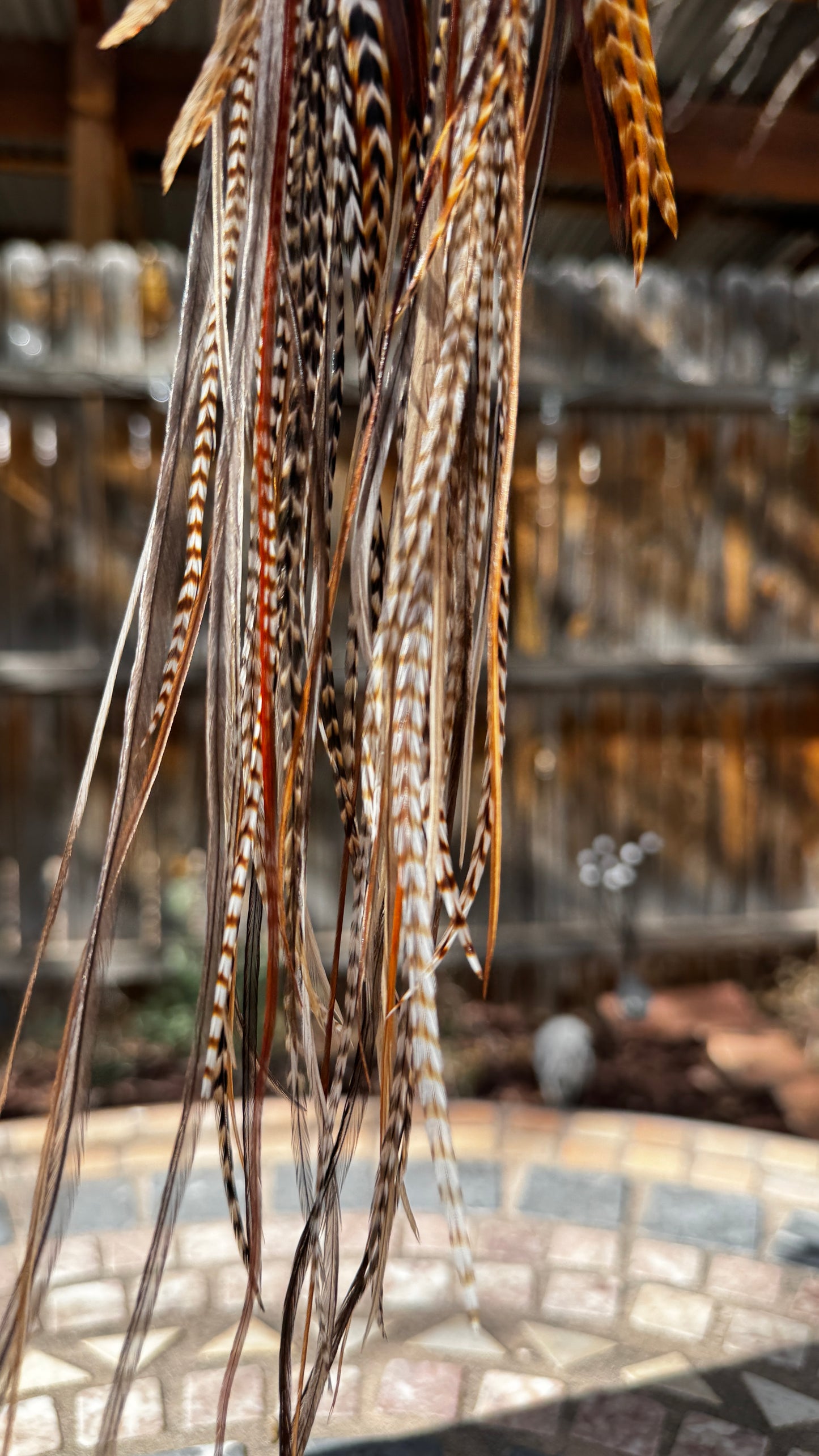 Feather Earrings - Send Nudes
